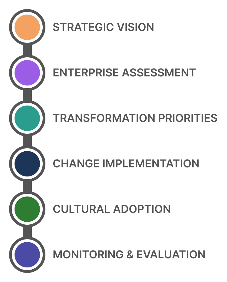 Organization transformation overview graphic